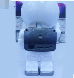 Astronaut Robot Camera IP Wifi Wireless P2P Security Surveillance Night Vision IR Home Security Robot Baby Monitor - Connect Craze